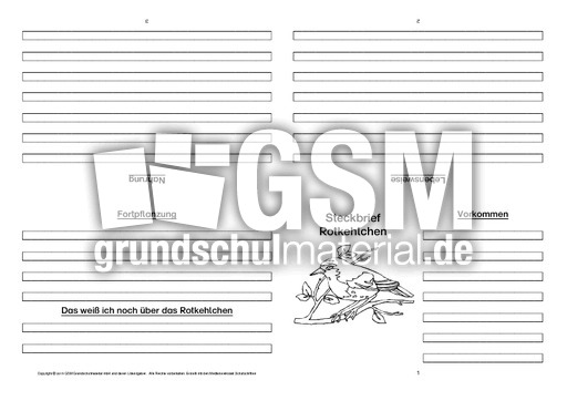 Rotkehlchen-Faltbuch-vierseitig.pdf